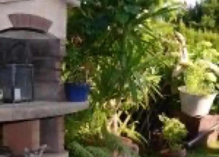 Dauth * Kressbronn am Bodensee